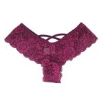 CHELVY.COM lacy Lingerie India / Bra / Panty / Nightwear / Pushup Bra / Thong 14