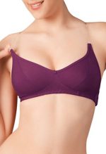 CHELVY.COM Bra Updated Dec 2023 Lingerie India / Bra / Panty / Nightwear / Pushup Bra / Thong 8