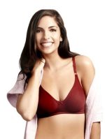 CHELVY.COM Bra Updated Dec 2023 Lingerie India / Bra / Panty / Nightwear / Pushup Bra / Thong 8